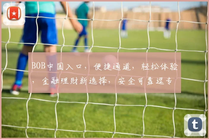 BOB中国入口，便捷通道，轻松体验，金融理财新选择，安全可靠逗专业服务逗