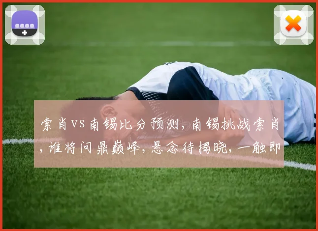 索肖vs南锡比分预测,南锡挑战索肖,谁将问鼎巅峰,悬念待揭晓,一触即发。